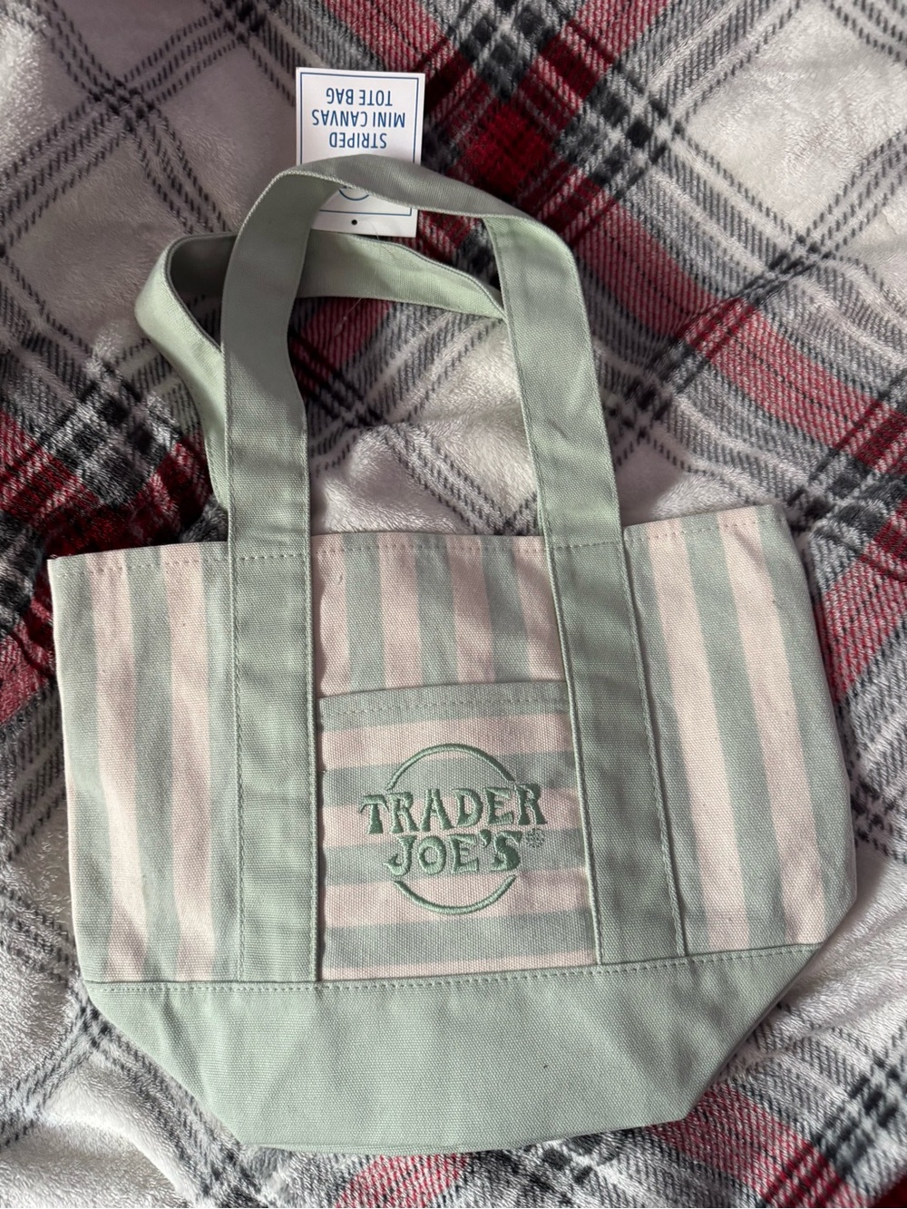 Mint & Cream Striped Canvas Tote Bag